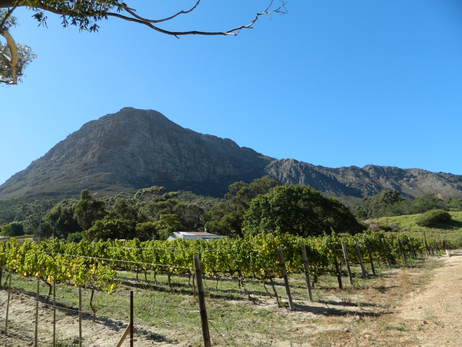 To Let 1 Bedroom Property for Rent in Franschhoek Western Cape